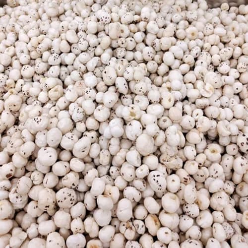 Bulk Liners & Export Cartons
